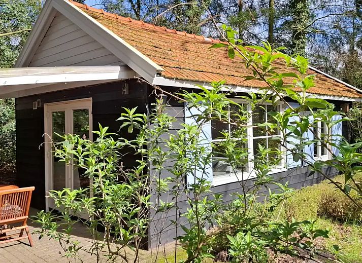 Verblijf 540239 - Vakantiewoning Vechtstreek - Het Pimpelmeesje