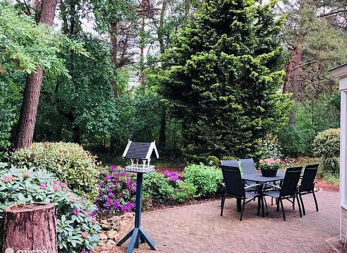 Unterkunft 540242 - Ferienhaus Vechtstreek - Huize Beerze