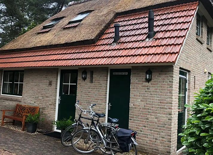 Unterkunft 540242 - Ferienhaus Vechtstreek - Huize Beerze