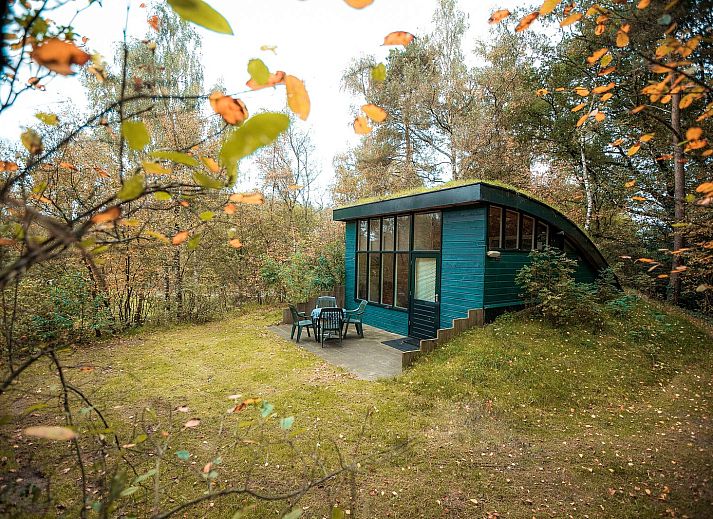 Unterkunft 540245 • Ferienhaus Vechtstreek • Heuvelchalet