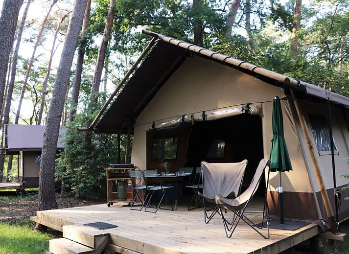 Guest house 540256 • Tent house Vechtstreek • Classic Wood Tent