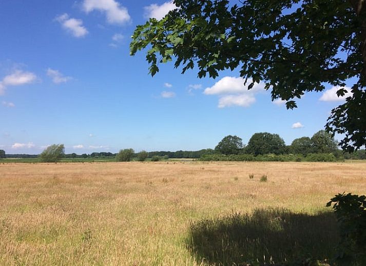 Vacation cottage in Diffelen surrounded by greenery, located in the Vecht region, Overijssel.