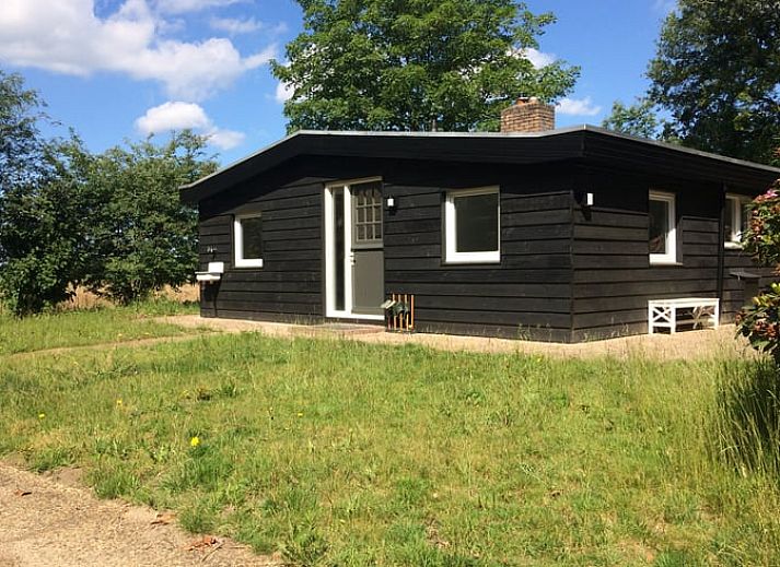Cozy cottage in Diffelen with terrace, in the middle of the nature of the Vecht region, Overijssel.