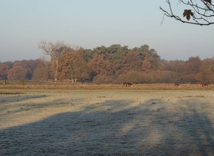 Cottage in Diffelen with terrace and autumn colors, in the middle of the Vecht region, Overijssel.