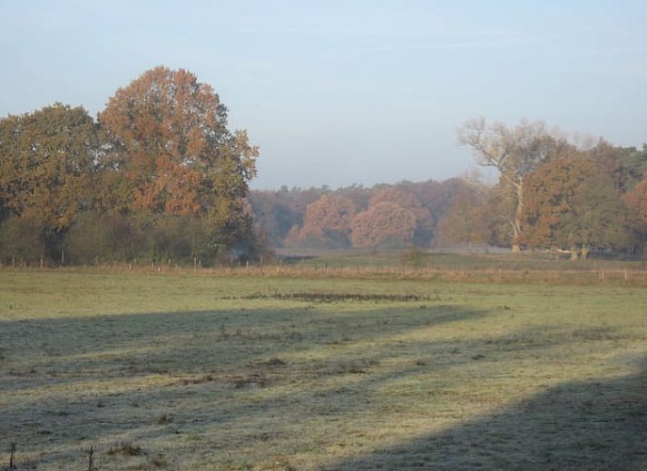 Cottage in Diffelen with terrace and autumn colors, in the middle of the Vecht region, Overijssel.