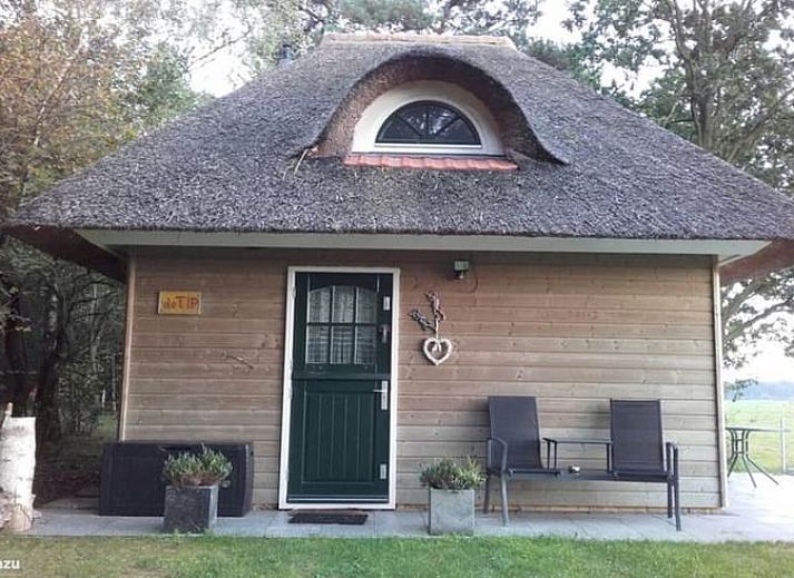 Gemuetliches Wohnzimmer im Ferienhaus in Diffelen mit Blick auf weite Felder, Region Vecht, Overijssel.