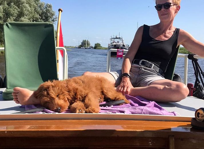 Gezellige binnenruimte van Huisje in Daarleveen, vakantieaccommodatie in Gramsbergen, Overijssel met sfeervolle inrichting.