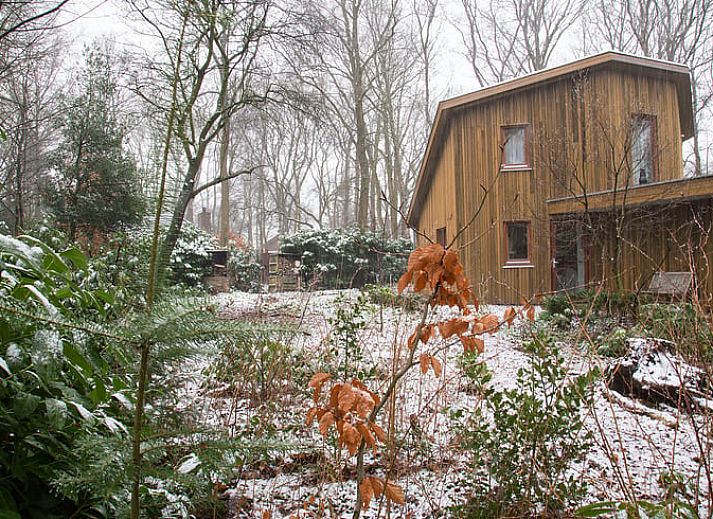 Guest house 540504 - Holiday property Vechtstreek - Vakantiehuisje in Dalfsen