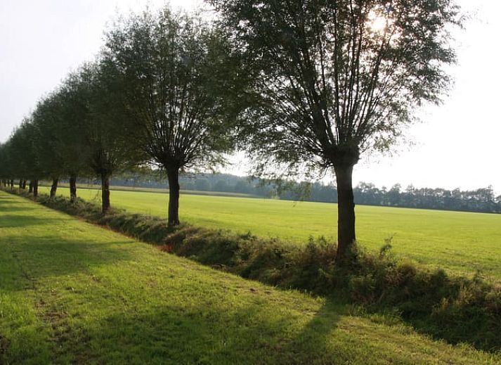 Guest house 540504 - Holiday property Vechtstreek - Vakantiehuisje in Dalfsen