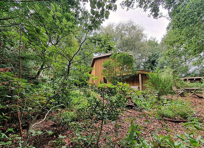 Guest house 540504 - Holiday property Vechtstreek - Vakantiehuisje in Dalfsen