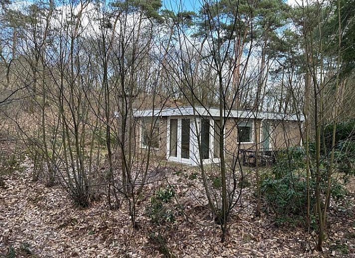 Gemuetliches Wohnzimmer im Ferienhaus in Dalfsen, Vechtstreek, Overijssel mit moderner Einrichtung und Blick auf die Natur.