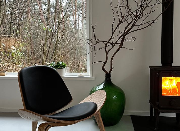 Ferienhaus in Dalfsen, Region Vecht, Overijssel, umgeben von gruenen Waeldern fuer einen ruhigen Urlaub.