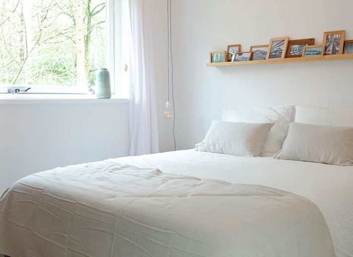 Stimmungsvolle Abendbeleuchtung im Ferienhaus in Dalfsen, Vechtstreek, Overijssel, inmitten der Natur.