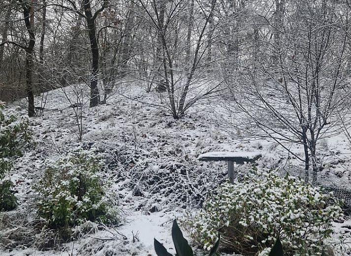 Moderner Holzofen im Ferienhaus in Dalfsen, Vechtstreek, Overijssel fuer eine warme Atmosphaere.