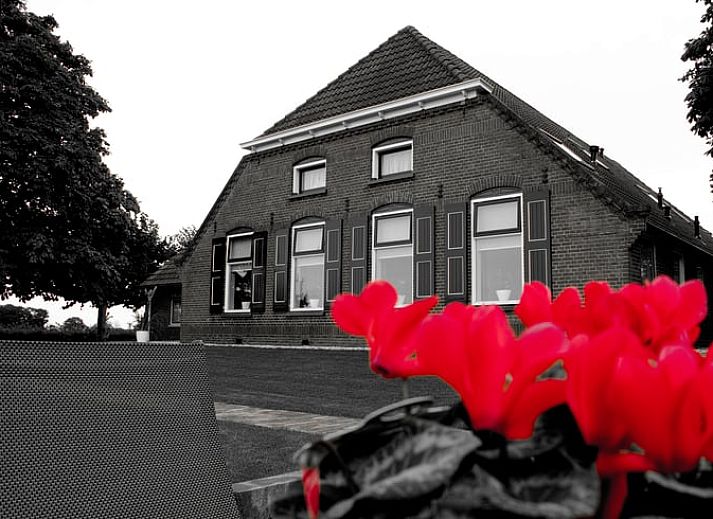 Moderne keuken van Vakantiehuis in Dalfsen, ideaal voor culinaire avonturen in Overijssel.