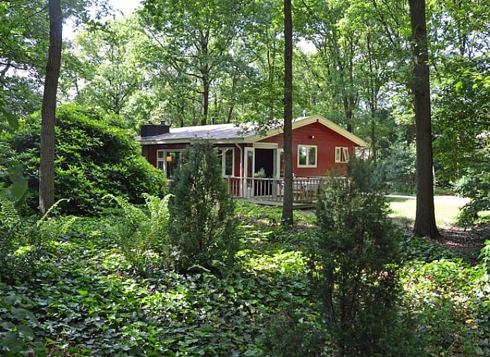 Guest house 540517 • Holiday property Vechtstreek • Vakantiehuisje in Dalfsen