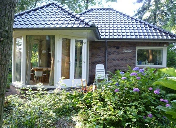 Ferienhaus in Dalfsen, umgeben von ueppiger Natur in der Region Vecht, Overijssel.