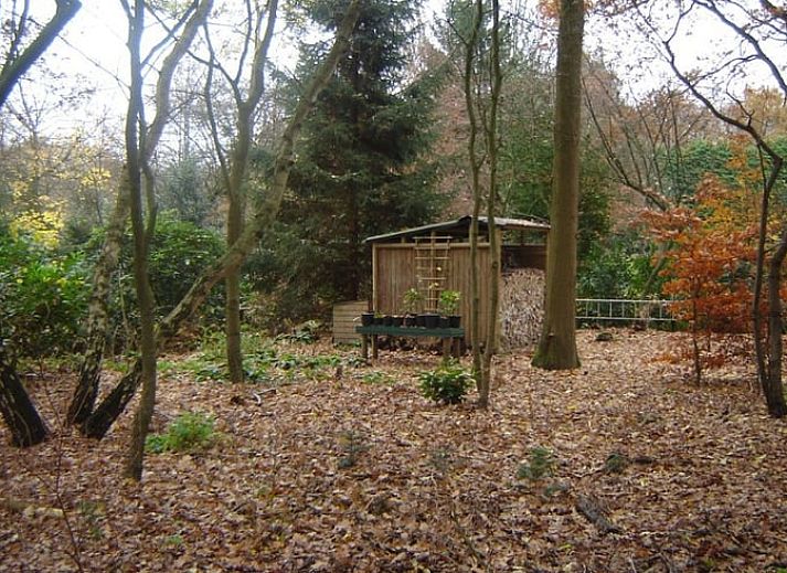 Moderne Kueche im Ferienhaus in Dalfsen mit Blick auf die gruene Umgebung.