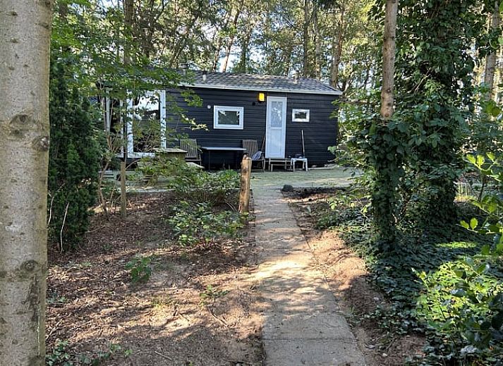 Verblijf 540527 • Vakantiewoning Vechtstreek • Natuurhuisje in Dalfsen