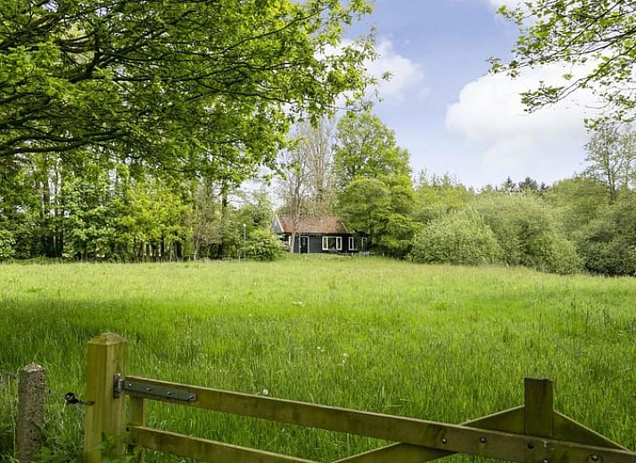 Unterkunft 540537 • Ferienhaus Vechtstreek • Huisje in Dalfsen 