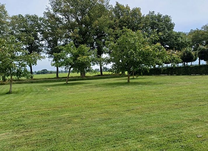 Ontspan op de ligstoelen in de tuin van Vakantiehuis in Dalfsen, ideaal voor een rustige vakantie in de Vechtstreek, Overijssel.