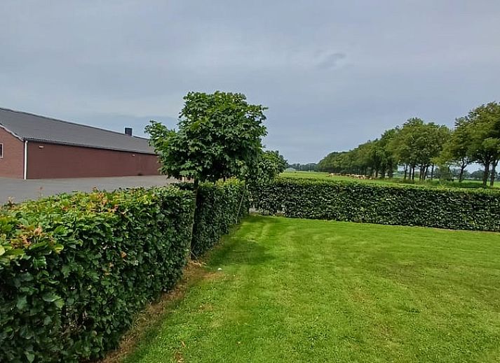 Ontspan op de ligstoelen in de tuin van Vakantiehuis in Dalfsen, ideaal voor een rustige vakantie in de Vechtstreek, Overijssel.