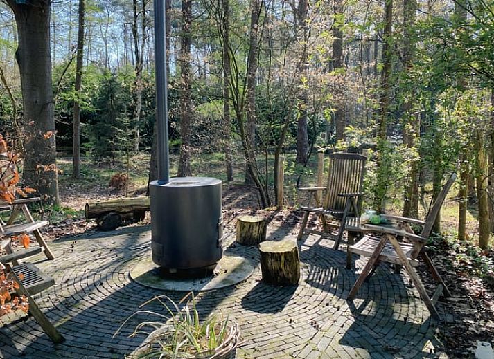 Guest house 540542 - Holiday property Vechtstreek - Vakantiehuis in Dalfsen