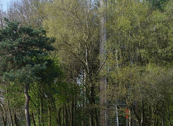 Modern kitchen in cottage in Dalfsen, Vecht region, Overijssel, with views of nature and lots of light.