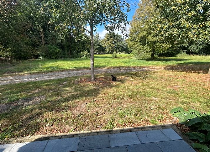 Unterkunft 540547 - Ferienhaus Vechtstreek - Huisje in Dalfsen