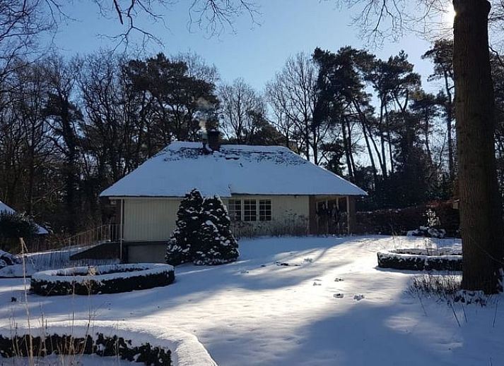 Unterkunft 540549 - Ferienhaus Vechtstreek - Vakantiehuisje in Dalfsen