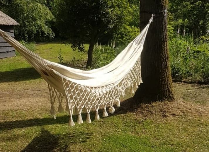 Unterkunft 540549 - Ferienhaus Vechtstreek - Vakantiehuisje in Dalfsen