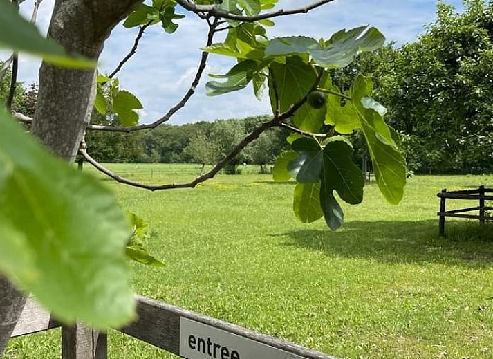 Ferienhaus in Dalfsen mit schoenem Aussenbereich in der Region Vecht, Overijssel.
