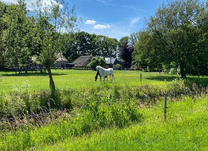 Ferienhaus in Dalfsen mit schoenem Aussenbereich in der Region Vecht, Overijssel.