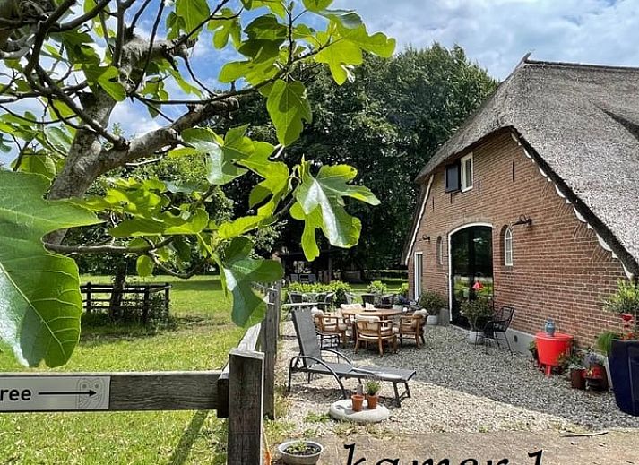 Geniessen Sie die Ruhe auf der Terrasse des Huisje in Dalfsen, Ferienhaus in Vechtstreek, Overijssel.