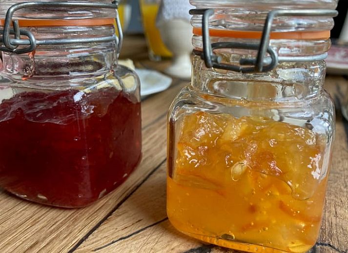 Natuerliche Umgebung am Eingang des Huisje in Dalfsen, Ferienunterkunft in Overijssel.