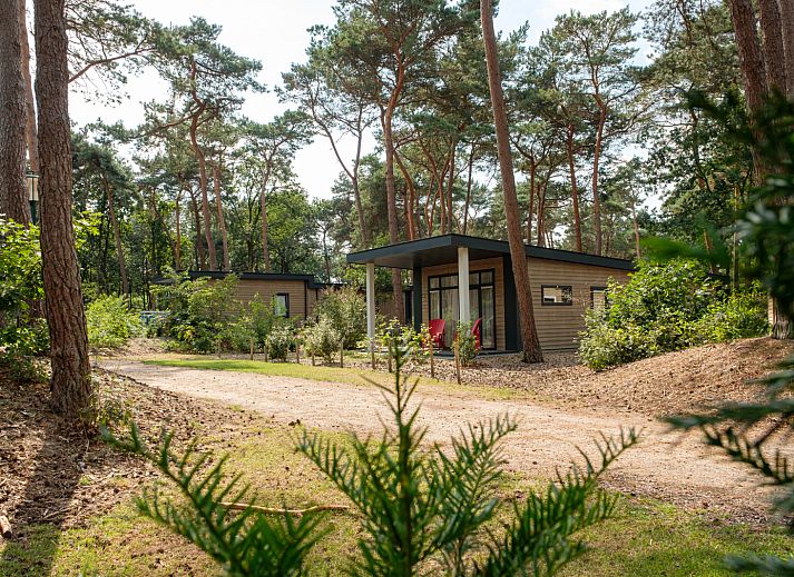 Verblijf 540617 - Vakantiewoning Vechtstreek - Bospark chalet