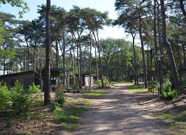 Verblijf 540617 - Vakantiewoning Vechtstreek - Bospark chalet