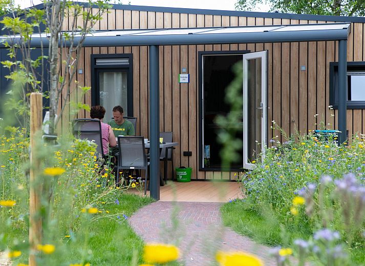 Unterkunft 540620 - Ferienhaus Vechtstreek - Boslodge