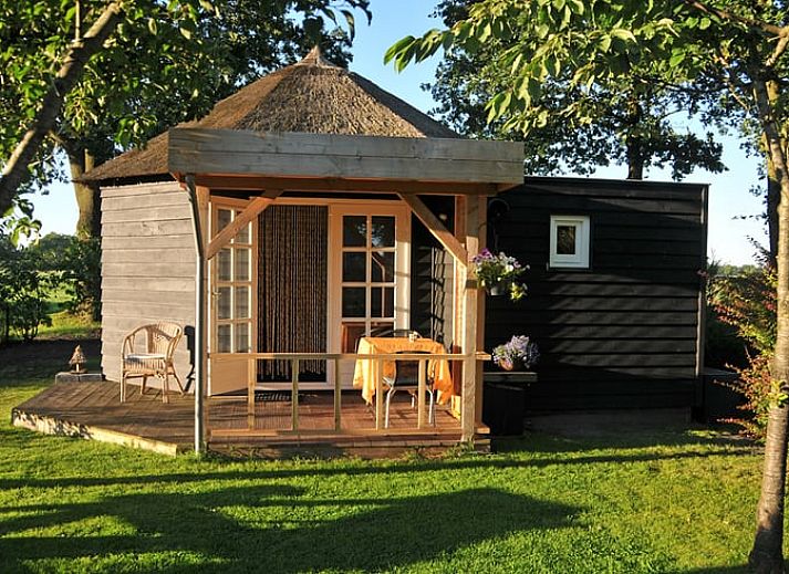 Geniessen Sie die laendliche Umgebung im Huisje in Balkbrug, einem Ferienhaus in der Region Vecht, Overijssel, umgeben von Natur und grasenden Kuehen.