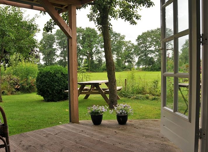Geniessen Sie die laendliche Umgebung im Huisje in Balkbrug, einem Ferienhaus in der Region Vecht, Overijssel, umgeben von Natur und grasenden Kuehen.
