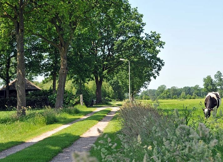 Geniessen Sie die Ruhe im Huisje in Balkbrug, einem charmanten Ferienhaus mit Veranda in der gruenen Vechtgegend, Overijssel.