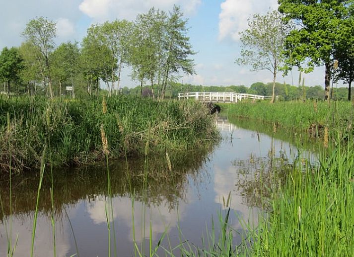 Gemuetliches Interieur von Huisje in Balkbrug, Ferienhaus in Vechtstreek, Overijssel, mit Holzinterieur und gemuetlicher Essecke.