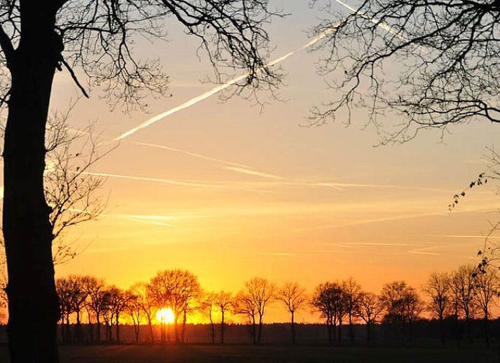 Gemuetliches Interieur von Huisje in Balkbrug, Ferienhaus in Vechtstreek, Overijssel, mit Holzinterieur und gemuetlicher Essecke.