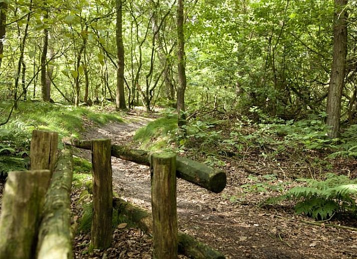 Unterkunft 540814 - Ferienhaus Vechtstreek - Huisje in Balkbrug
