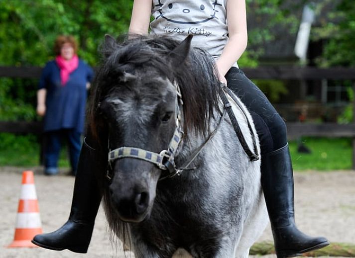 Cozy dining room in Cottage in Balkbrug, vacation home in Vecht region, Overijssel.