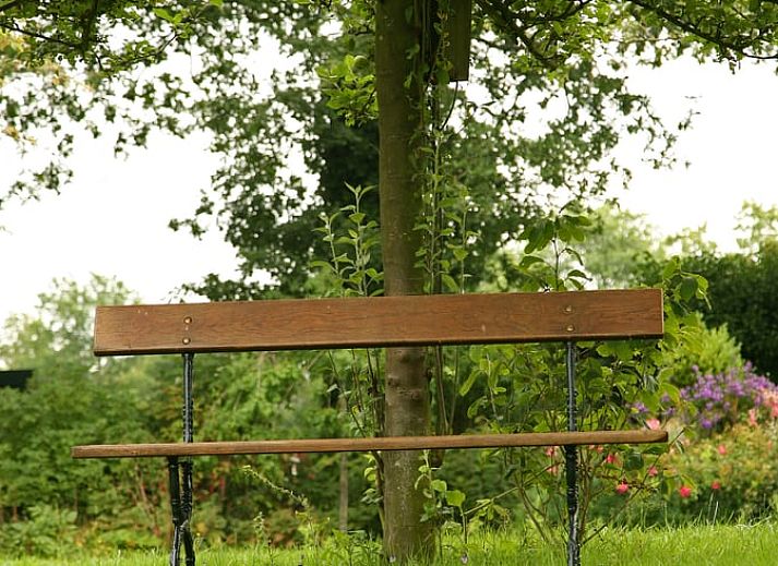 Modern kitchen in Cottage in Balkbrug, vacation home in Vecht region, Overijssel.