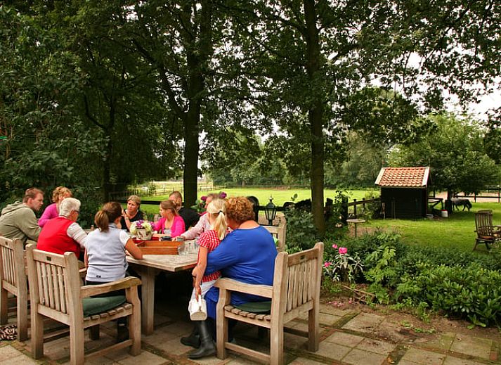Billiard room in Cottage in Balkbrug, vacation home in Vecht region, Overijssel.
