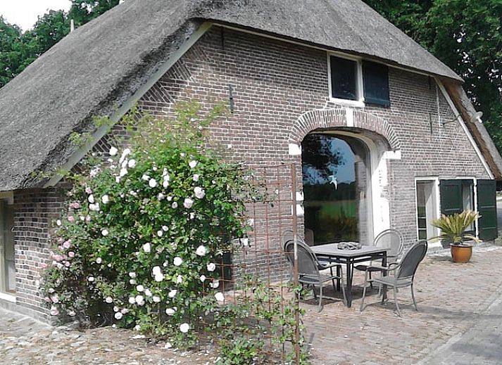 Charmantes Ferienhaus in Balkbrug, Region Vecht, Overijssel, umgeben von ueppigem Gruen und rustikaler Natur.