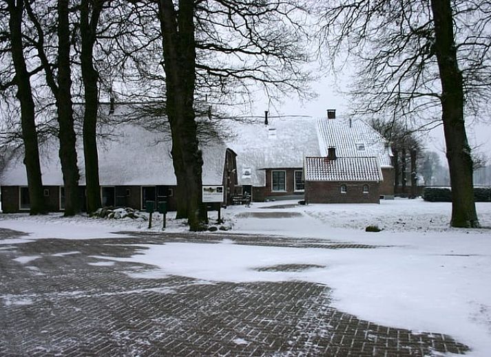 Charmantes Ferienhaus in Balkbrug, Region Vecht, Overijssel, umgeben von ueppigem Gruen und rustikaler Natur.