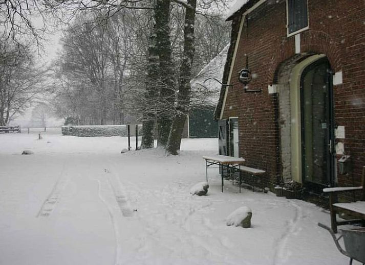Charmantes Ferienhaus in Balkbrug, Region Vecht, Overijssel, umgeben von ueppigem Gruen und rustikaler Natur.
